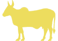features-cow-icon